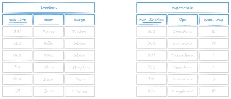 Tabelas TÉCNICO e EXPERIÊNCIA